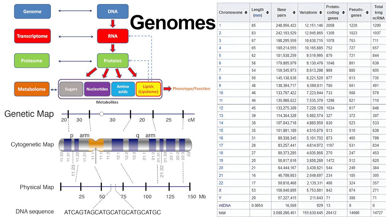 Genomes: DNA Sequencing, Non-coding RNA, and Genetic Mutations
