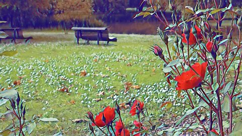 Beautiful Benches with Relaxing Music (with special effect)