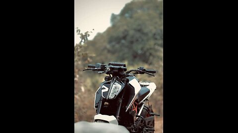 #shorts 390 DUKE VS ZX10 R SPEED BIKE SEAL HO GYI