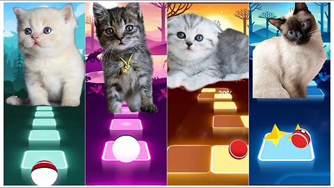 Cat cute singing Dance Monkey VS Bad Guy VS Bloody Mary VS Waka Waka | Tiles Hop: EDM Rush!