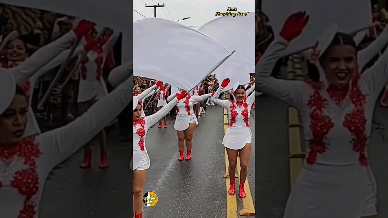 CORPO COREOGRÁFICO 2023 - BANDA MARCIAL SEDEC SÊNIOR 2023 - DESFILE CÍVICO 2023 - #shorts