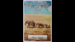 #11 Wisdom of the Oracle ~ By the Book