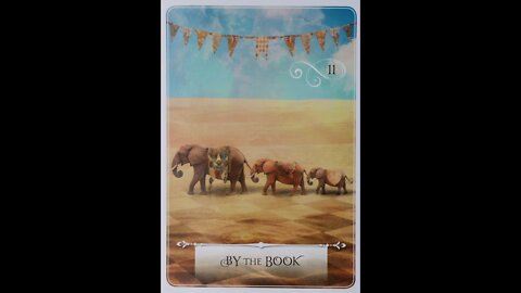 #11 Wisdom of the Oracle ~ By the Book