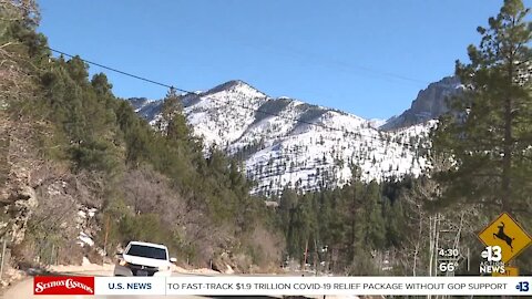 Busy day at Mount Charleston