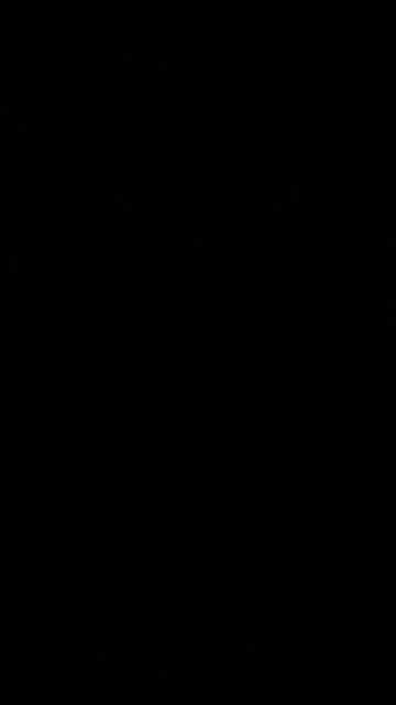 Silver holds your wealth