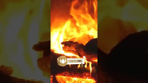 COZY Fireplace with Amazing Fire Sounds 🔥 Video Link Below