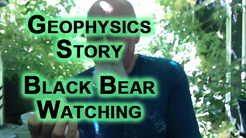 Geophysics Story, Bank of a River, Black Bear Watching: Nature Advice & Survival Tips, Wildlife