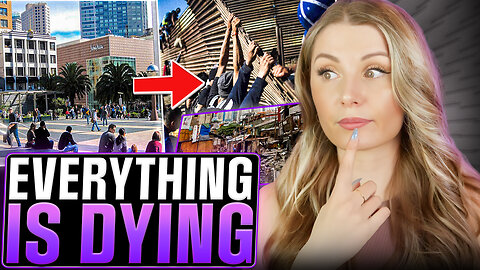 The Collapse Of Social Functionality | Lauren Southern