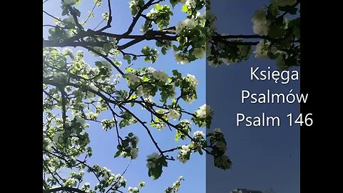 Księga Psalmów Psalm 146