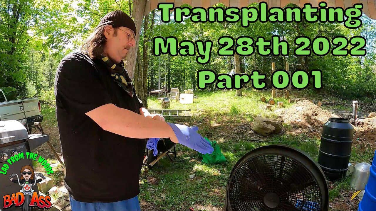 Fishin Camp Life - Transplanting - May 28th, 2022 - Part 001