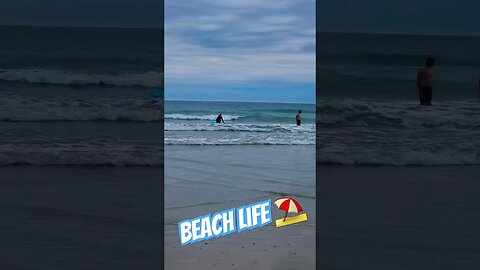Beach Life ⛱️ #beachlife #beachvibes #newquay #newquaybeach #surf #surfing #beach #waves #vwt4