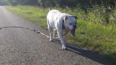 famke winnie slow motion