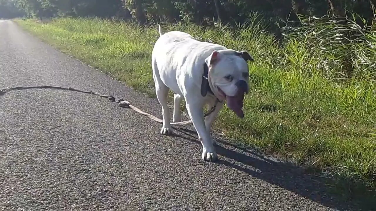 famke winnie slow motion