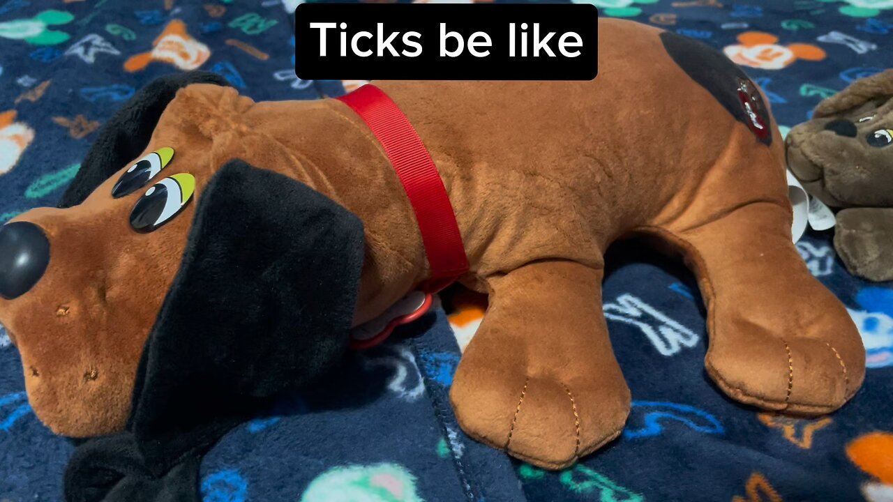 Ticks be like