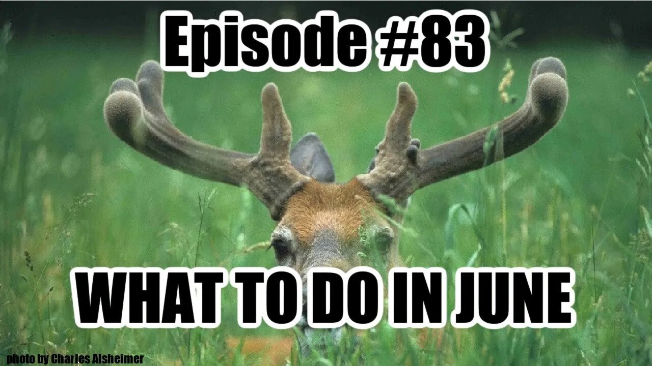 Episode# 83 - What to do in JUNE?