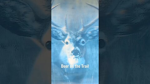 Trans Canada Trail. #shorts