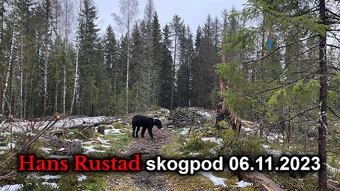Skogpod 6. november 2023