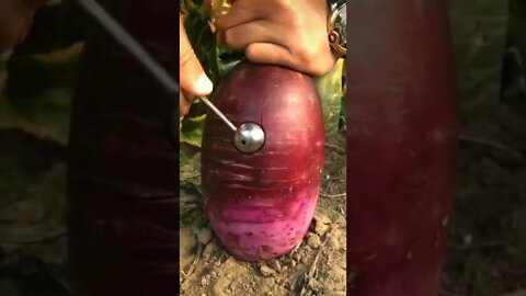 ASMR / Scooping