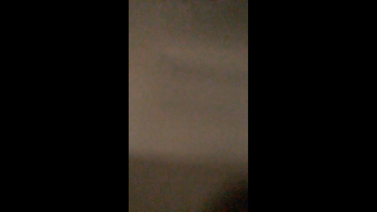 my babies ultrasound