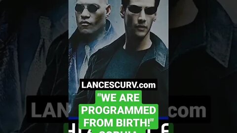 "WE ARE PROGRAMMED FROM BIRTH!" | SOPHIA STEWART | @LANCESCURV