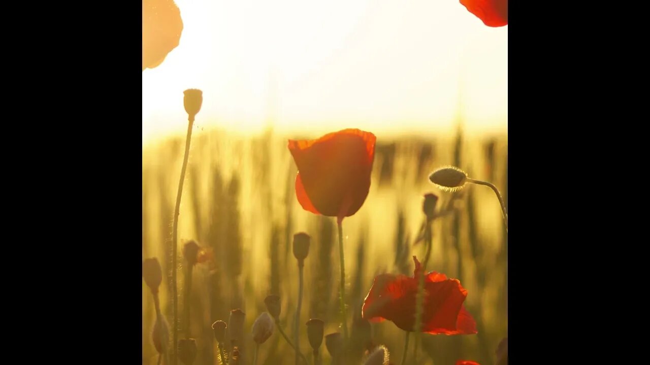 #inspirational #cinematic #music