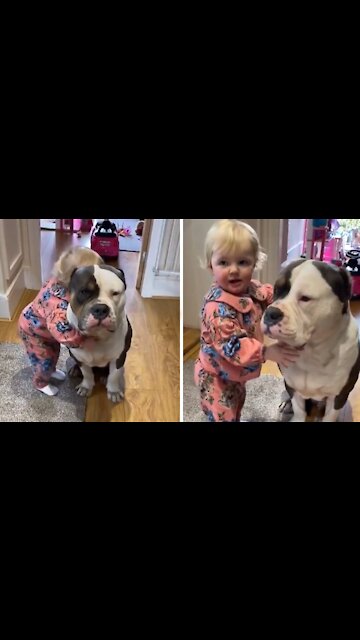 Little Girl Loves Hugging Her Gentle Bulldog Friend