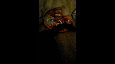 Kitty Talk