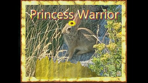 Princess Warrior - Instrumental Music to Improve Your Day