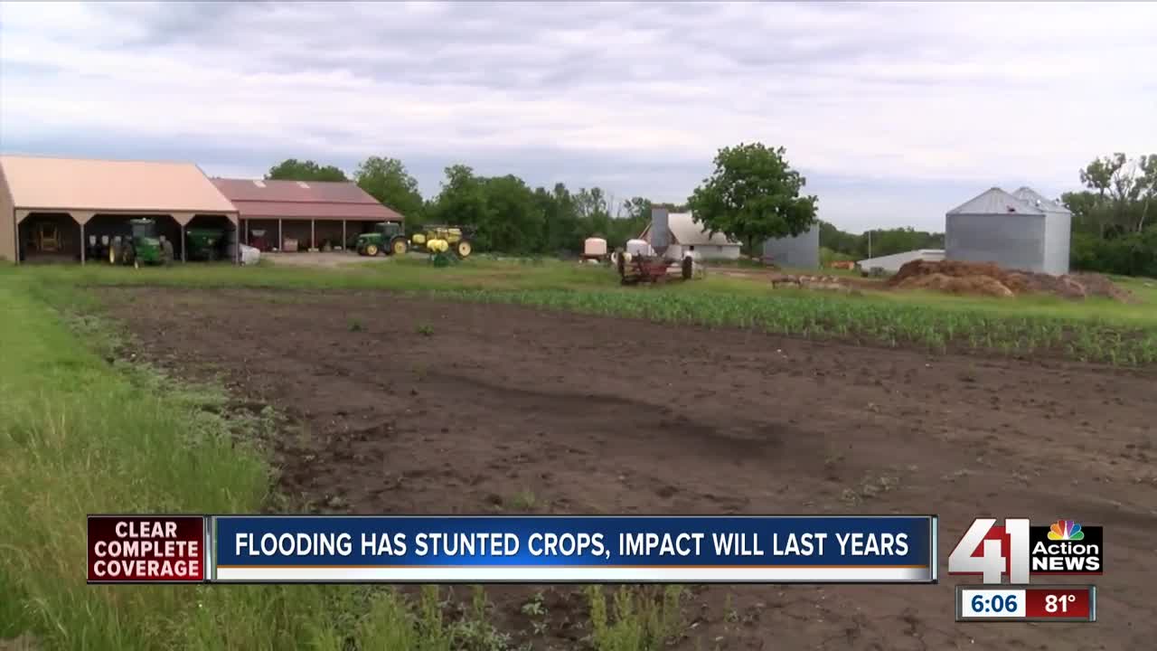 Midwest flooding affects far more than farmers
