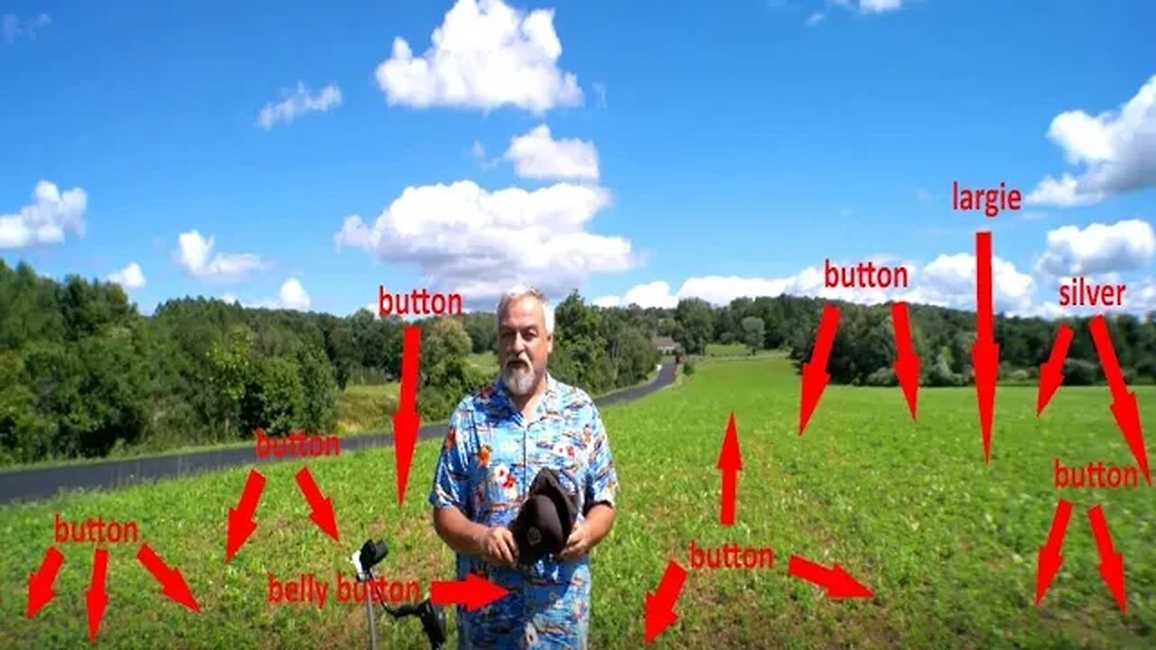 Silver in a button field