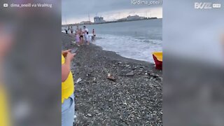 Nadadores salvadores vão à vez borda fora!
