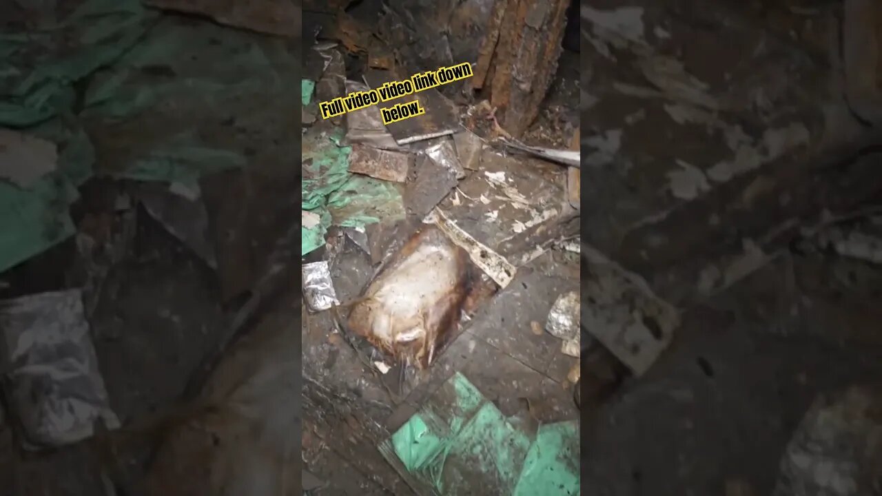 we found a Human organ in an abandoned hospital