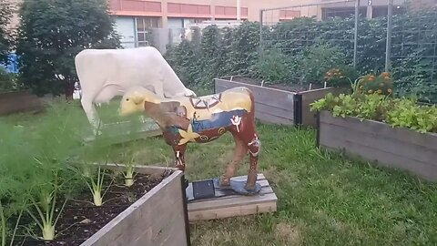 Whittier Street Community Garden