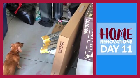 Home Renovations Day 11 - CO Guy Stuff