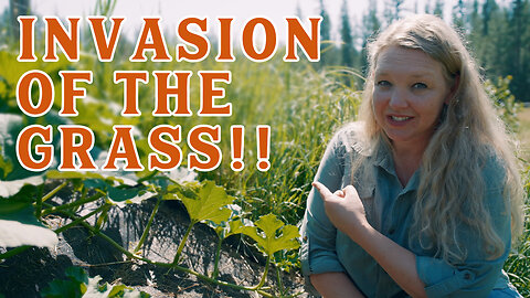Battle to the Death: Grass vs Garden! (How we are winning the war) | Pantry Chat