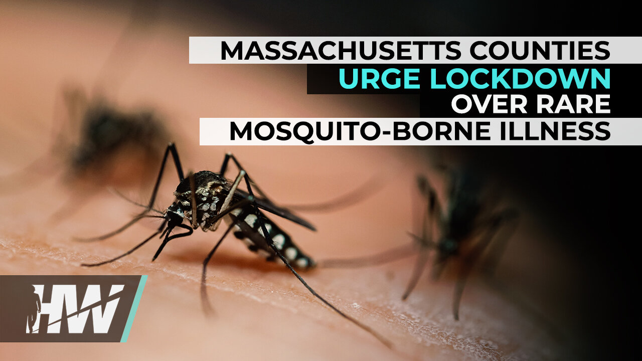 MASSACHUSETTS COUNTIES URGE LOCKDOWN OVER RARE MOSQUITO-BORNE ILLNESS