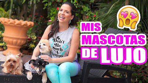 LAS MASCOTAS DE UN MILLONARIO!