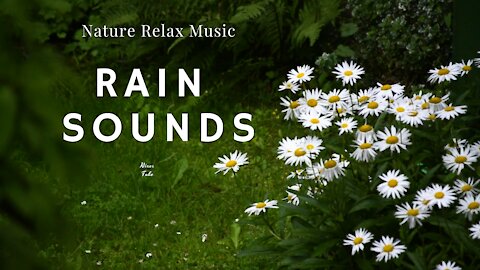 Rain sounds, quiet relaxing piano music
