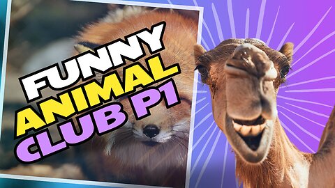Hilarious Animal Antics: Funniest Animal Videos Compilation