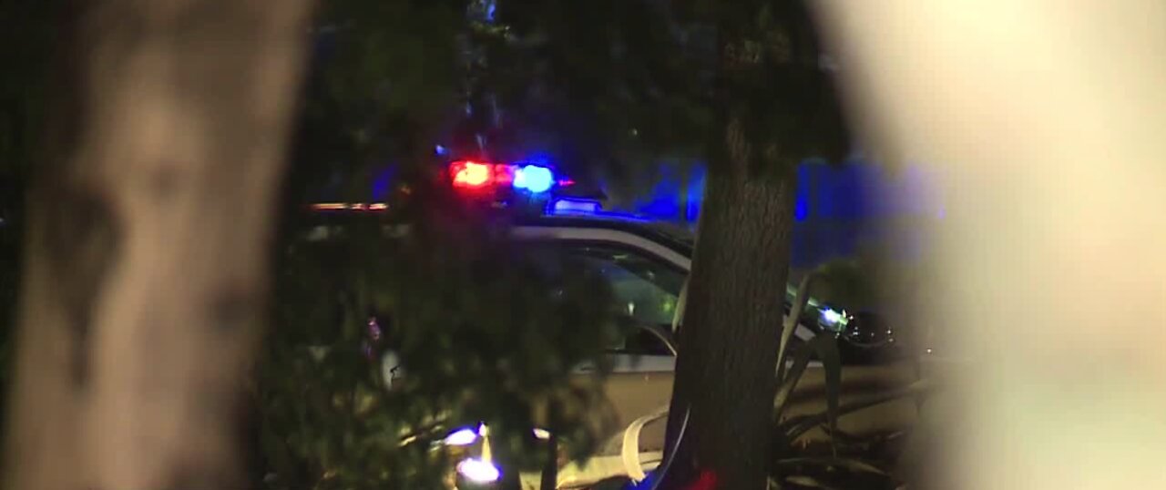 Las Vegas police seek shooter after overnight shooting near Aria