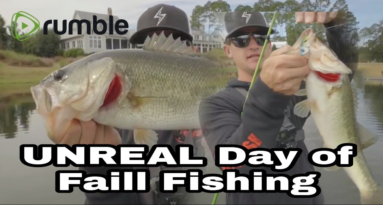 CATCHING BASS EVERY CAST (UNREAL Day of Fall Fishing)