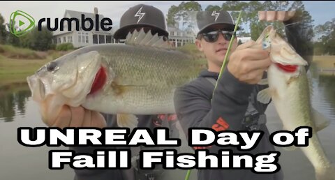 CATCHING BASS EVERY CAST (UNREAL Day of Fall Fishing)