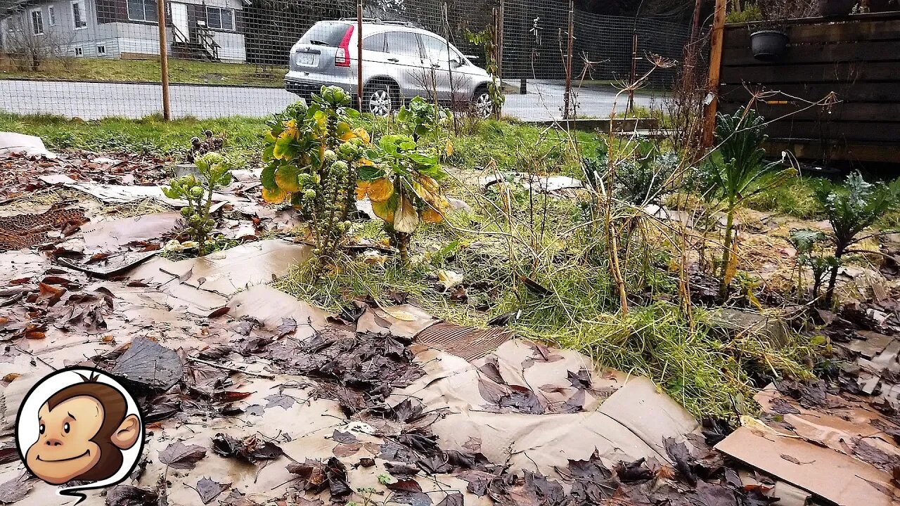 How to Kill Garden Weeds for FREE over Winter