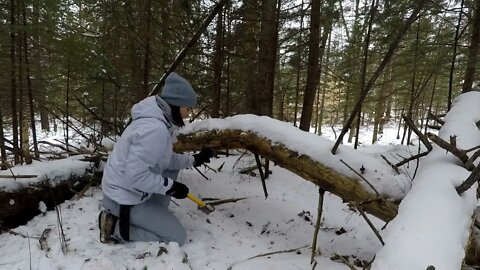 Winter Bushcraft: Camping with my Husky (-20⁰C)-13
