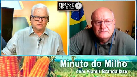 Milho com boas trocas internas