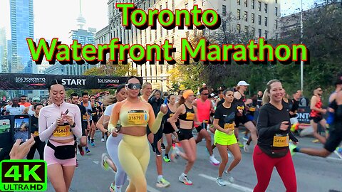 【4K】Toronto Waterfront Marathon 🏃‍♀️🏃‍♂️ Running Downtown Toronto Canada 🇨🇦
