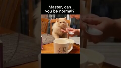 funny baby dogs,cute baby dogs,baby animal videos,dog vines 2022,