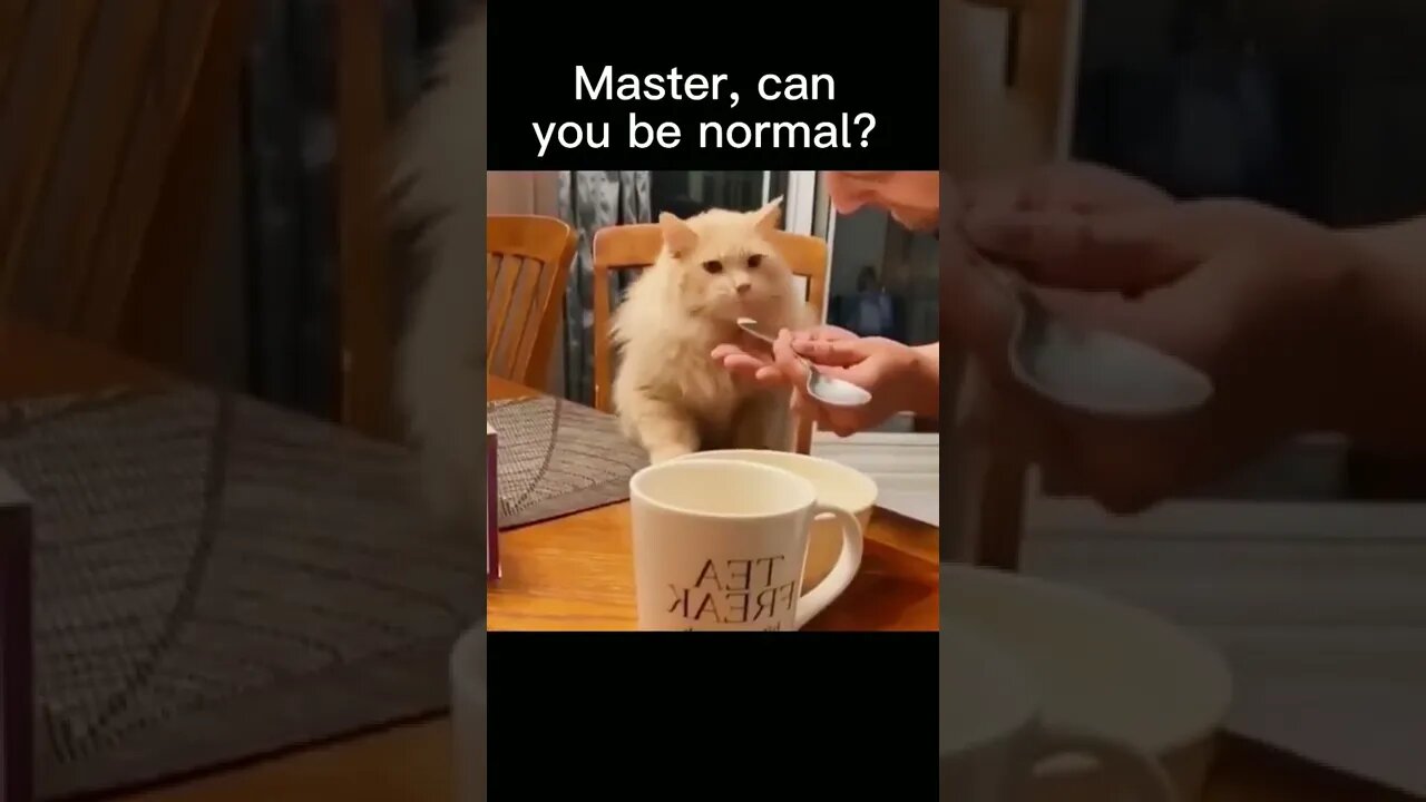 funny baby dogs,cute baby dogs,baby animal videos,dog vines 2022,