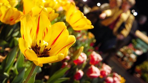 NOAA: Spring Will Bring Above-Average Temps To Much Of The US