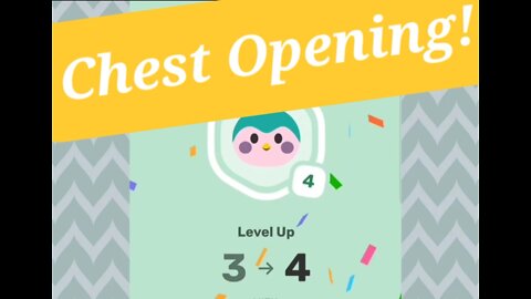 Mypetfinchapp: Another Chest Opening
